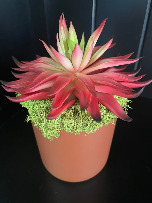 Artificial Succulent - 1