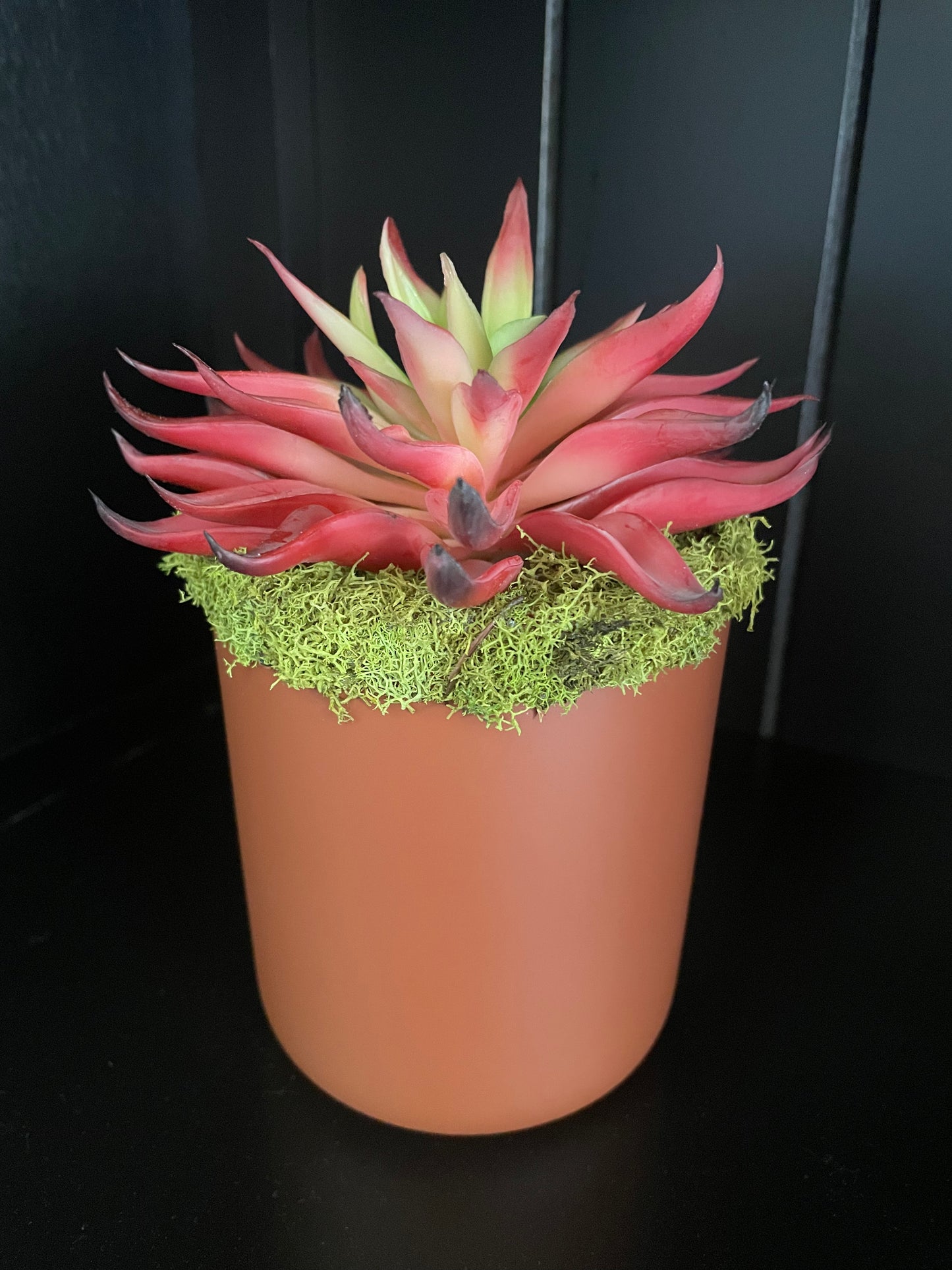 Artificial Succulent - 1