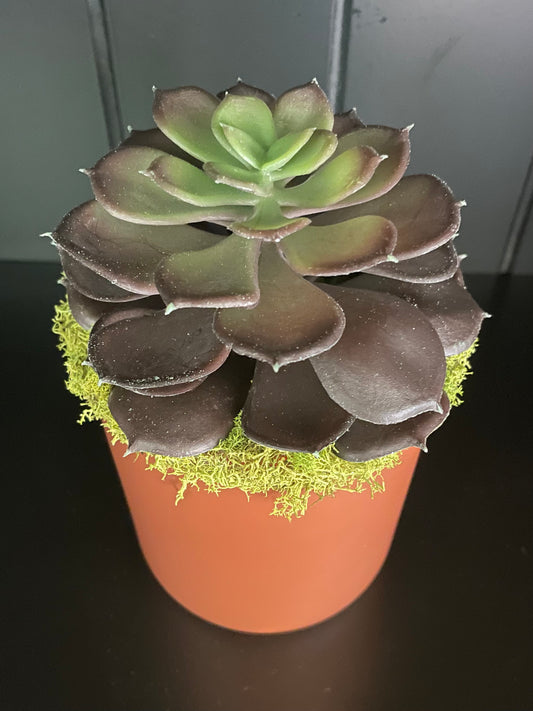 Artificial Succulent - 2