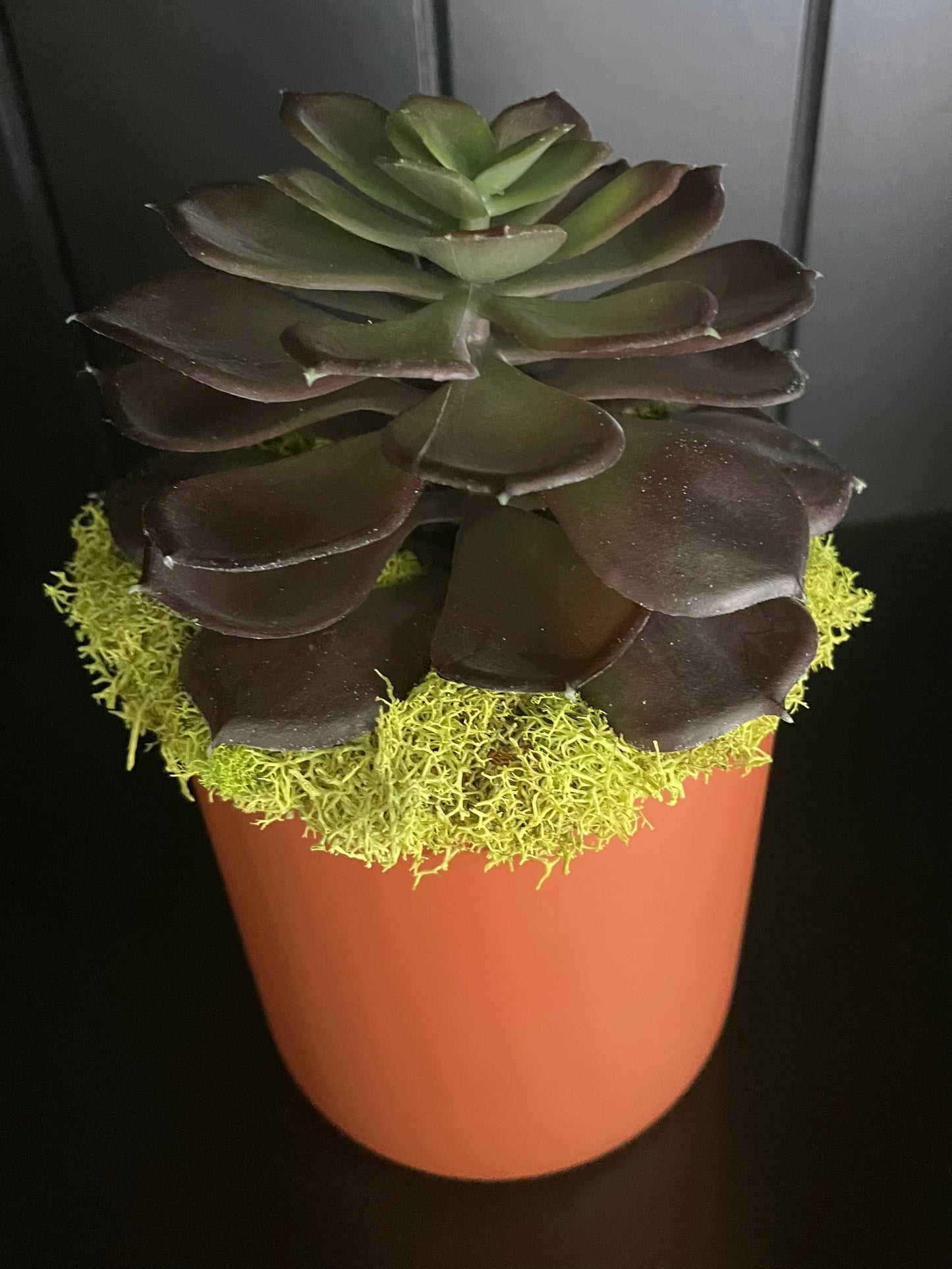 Artificial Succulent - 2