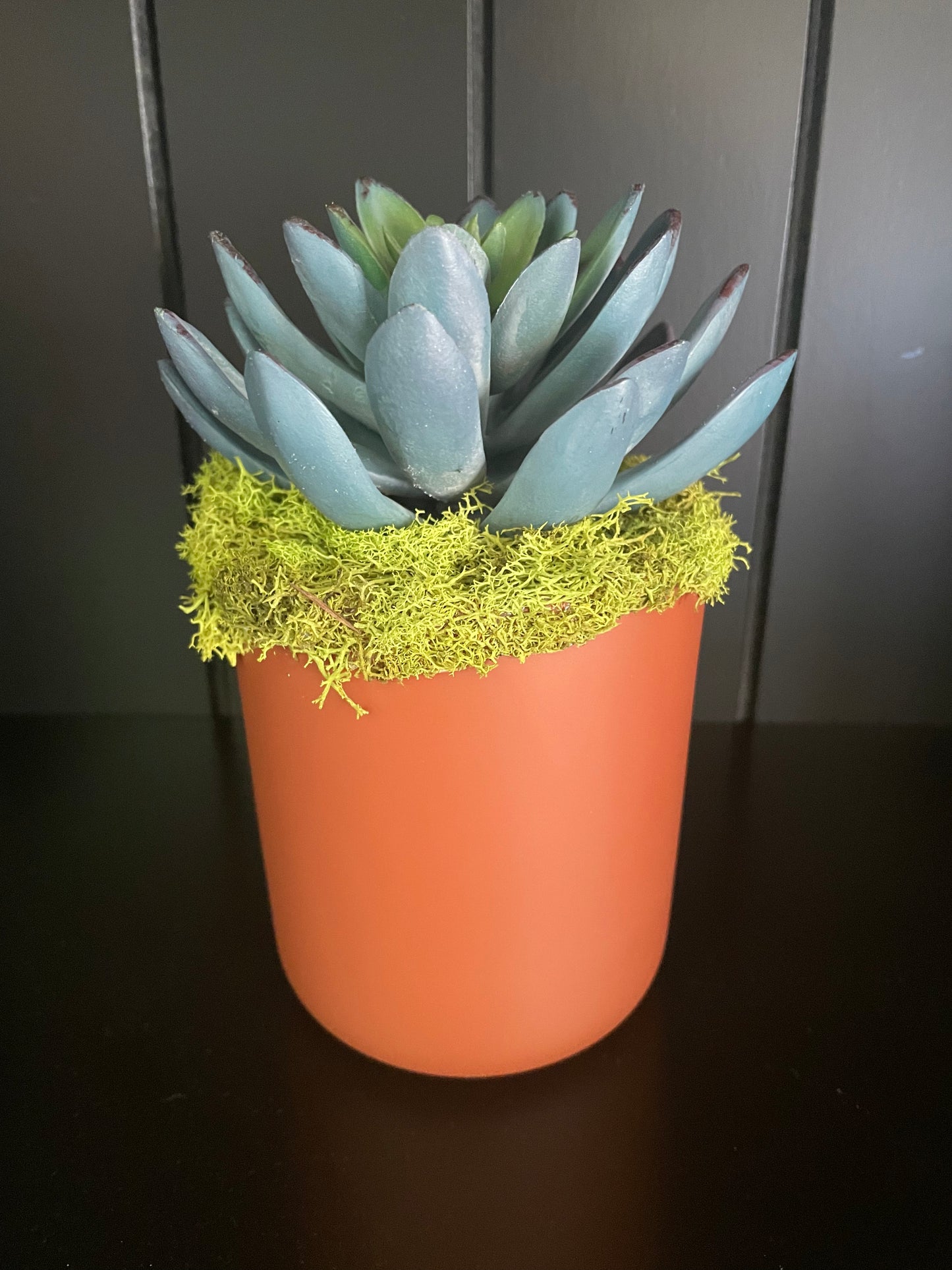 Artificial Succulent - 3