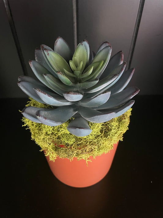 Artificial Succulent - 3