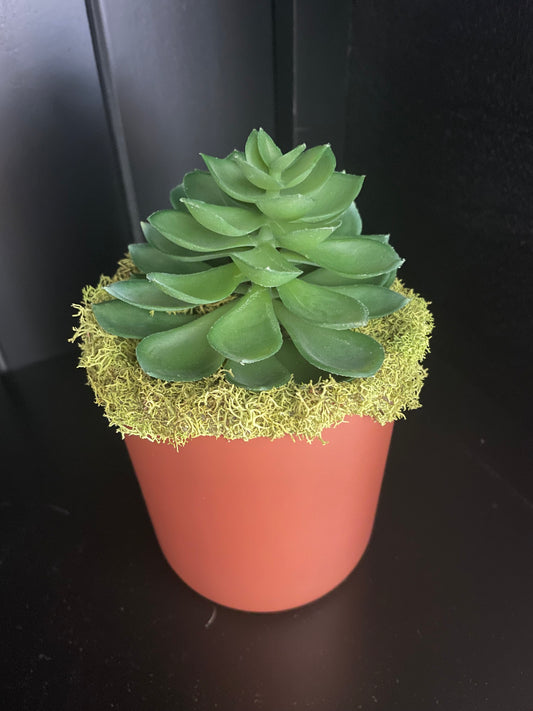 Artificial Succulent - 4