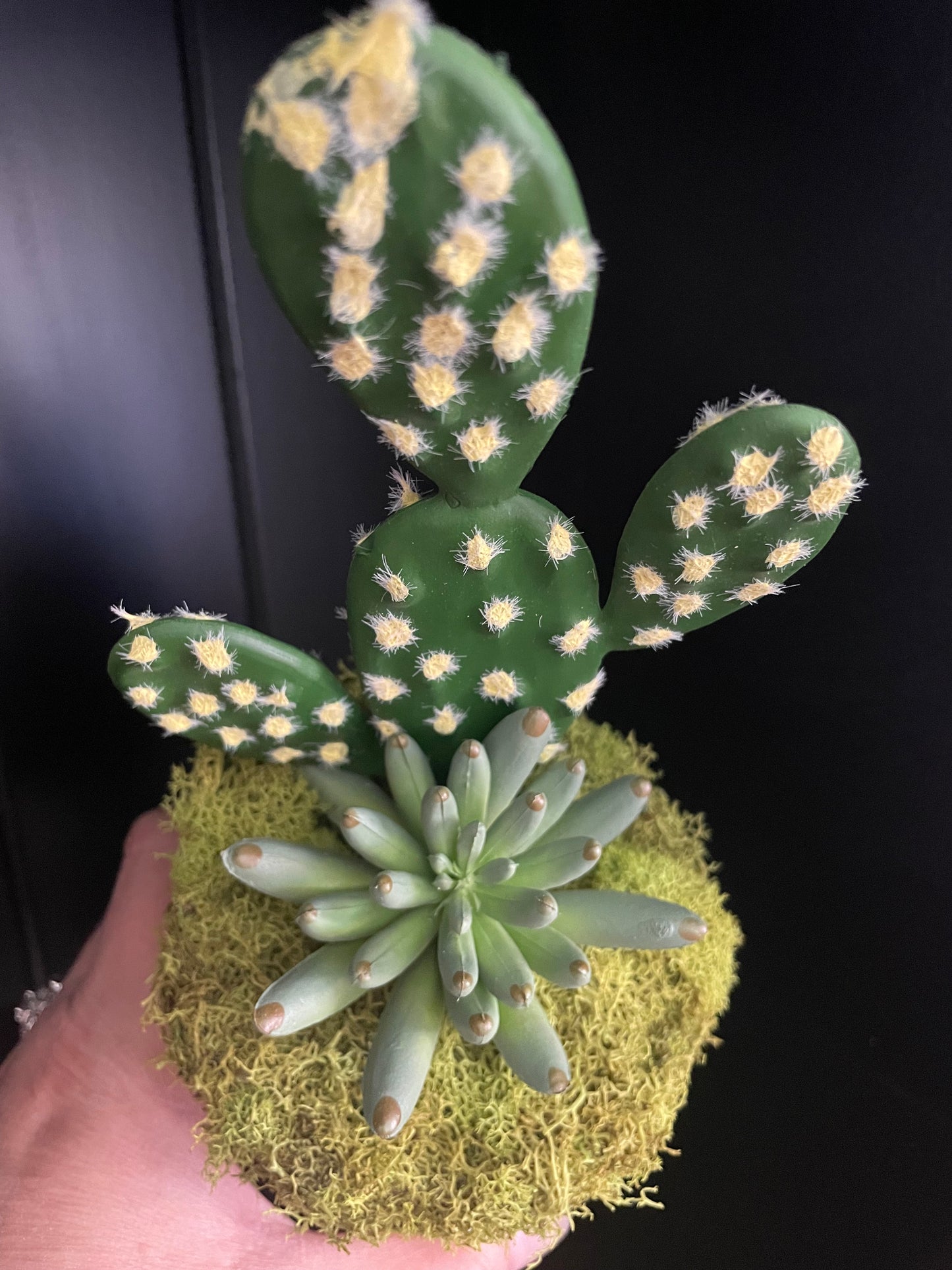 Artificial Cactus Plant