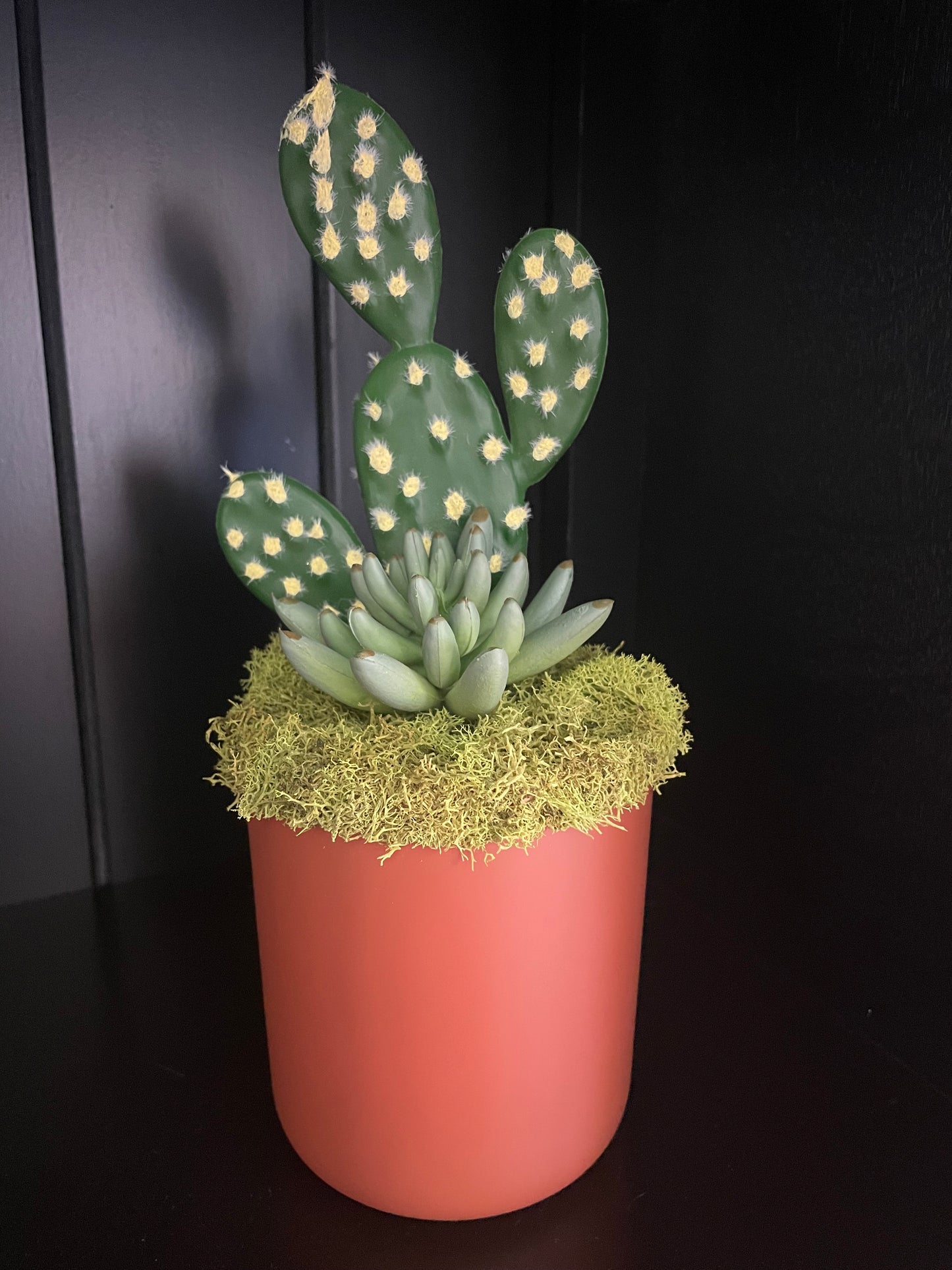 Artificial Cactus Plant