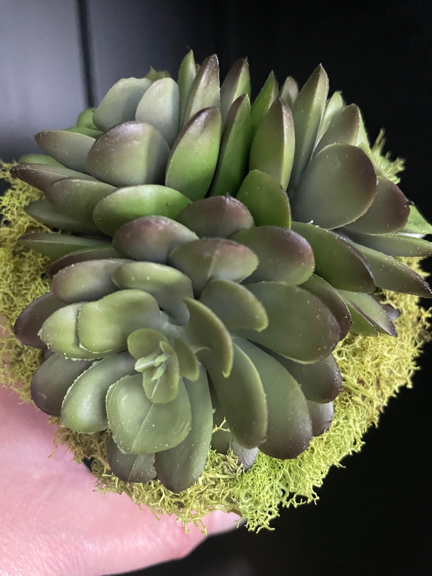 Artificial Succulent - 7