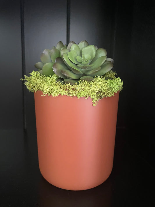 Artificial Succulent - 7