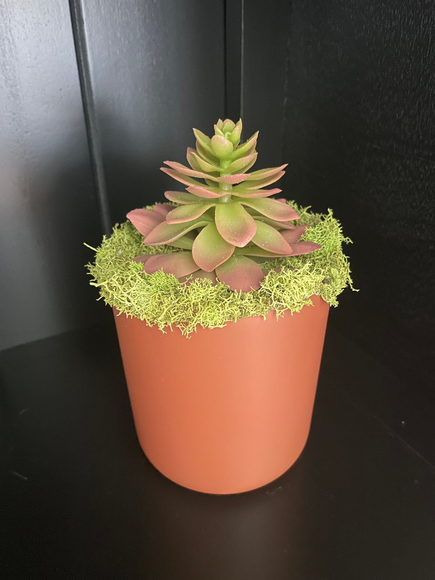 Artificial Succulent - 5