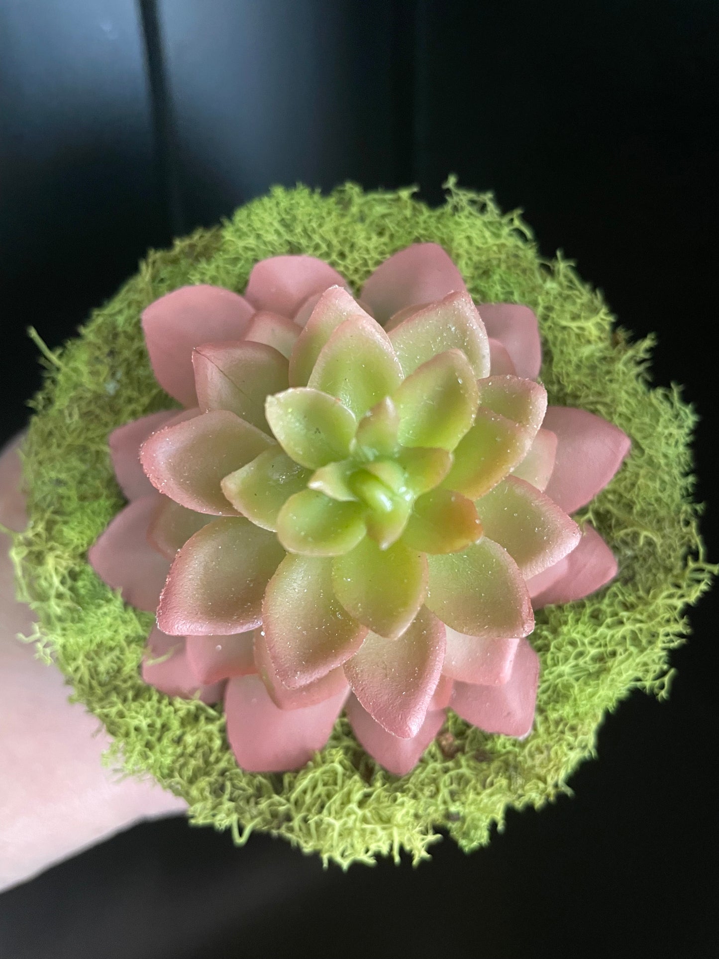 Artificial Succulent - 5