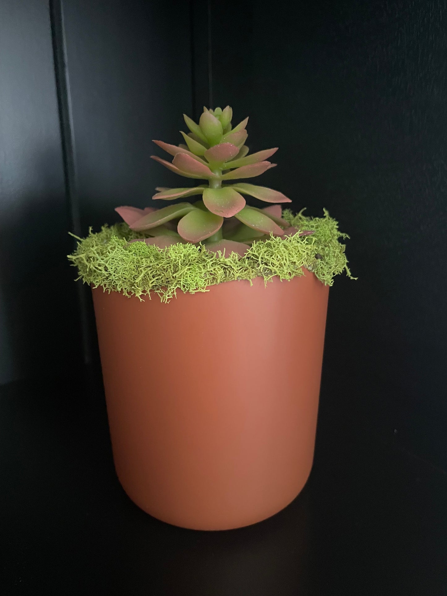 Artificial Succulent - 5