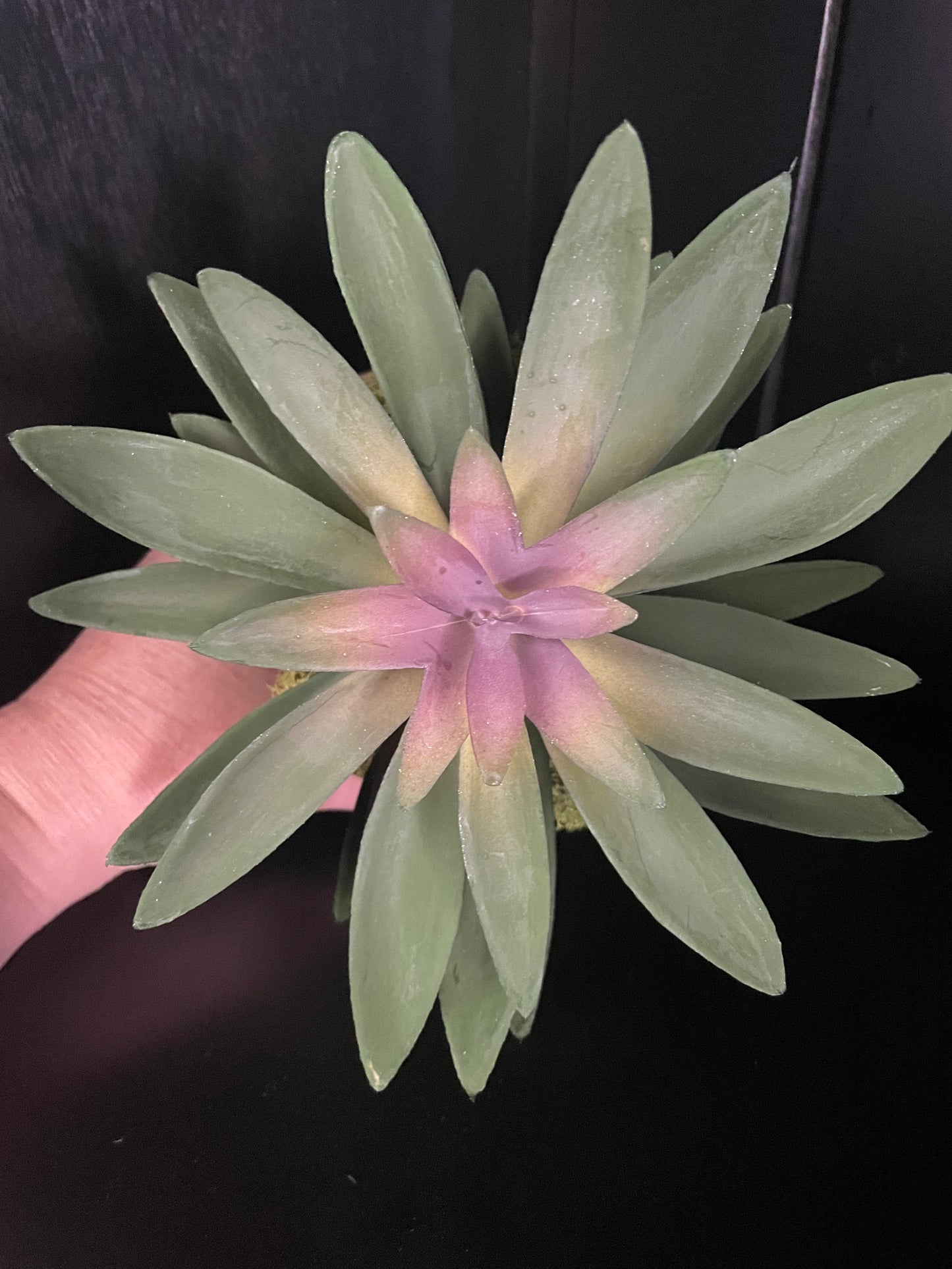 Artificial Succulent - 6