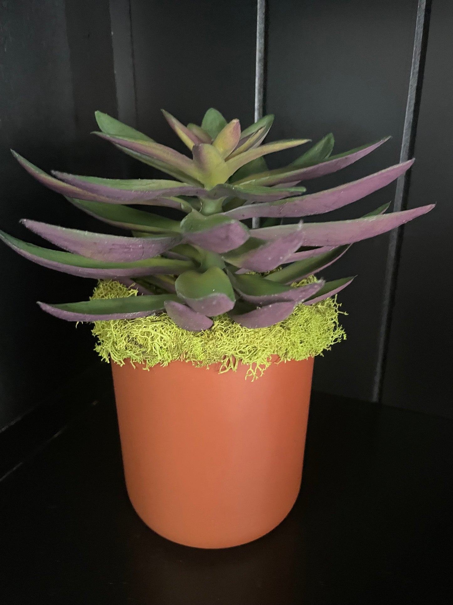 Artificial Succulent - 6