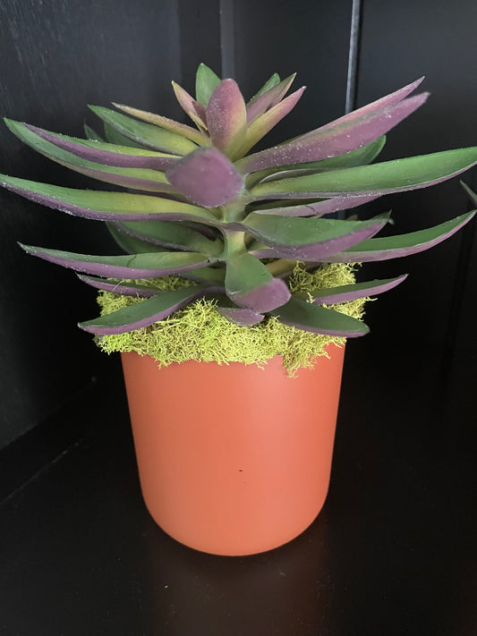 Artificial Succulent - 6