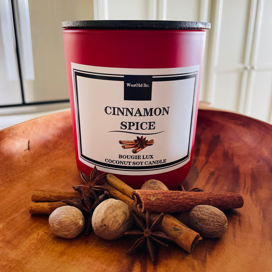 CINNAMON SPICE Coconut Soy Candle